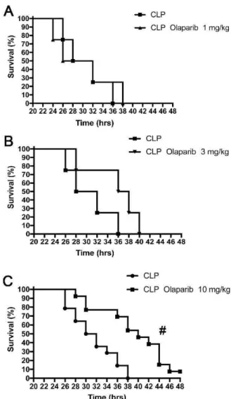 Fig.  6.  Effect  of olaparib on t he  surviv al  rate of young  male  Balb/c mice  sub- sub-jected to CLP