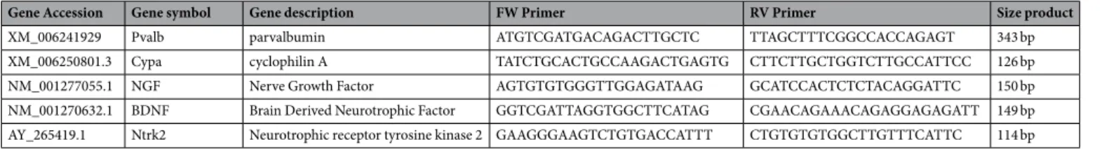 Table 1.  Primers used for RT-qPCR and/or RT-PCR.