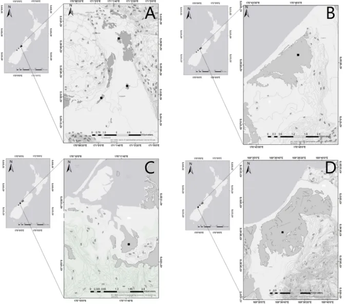 Fig. 1. Maps showing the location of the study sites in New Zealand. A: Hokitika 1–3 (Hokitika 1 is the northernmost site and Hokitika 3 the southernmost), B: Shearer, C: Okarito, D: Bruce Bay