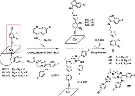 Figure 2. General synthetic scheme for the synthesis of derivatives B 12 -JR1-JR3 and B 12 -SN1.