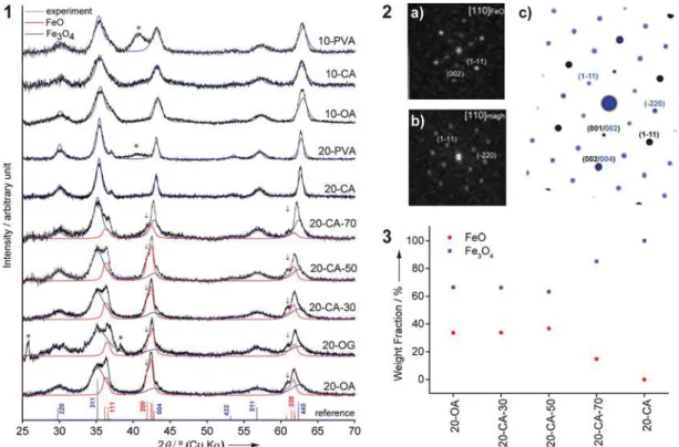 Figure 2. XRD characterization of 10 and 20 nm SPIONs before and after ligand exchange