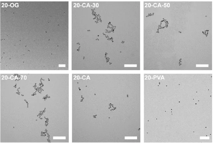 Figure S5 TEM micrographs of 20 nm SPIONs coated with OG, CA at different temperatures and PVA- PVA-catechol