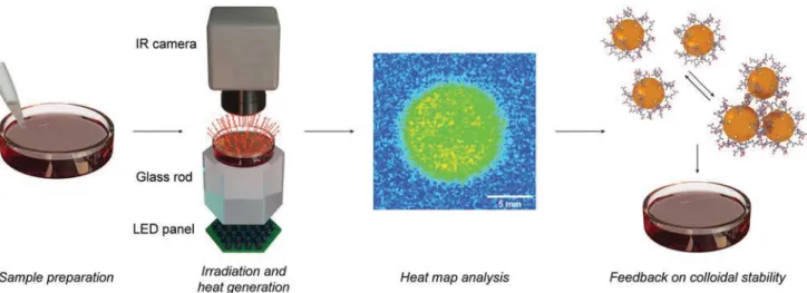 Figure  2 shows the concentration-dependent heat genera- genera-tion of 15 and 42 nm AuNPs upon irradiagenera-tion with a  light-emitting diode (LED) source centered at 525 and 660 nm