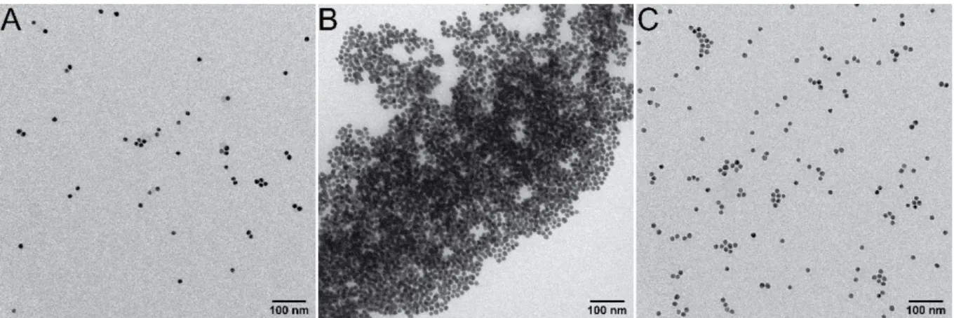 Figure S3. TEM micrographs of 15 nm AuNPs functionalized with GSH at different pHs. pH  4.3 (A), pH 2.2 (B) and pH 5.9 (C) demonstrating the reversible assembly of the particles