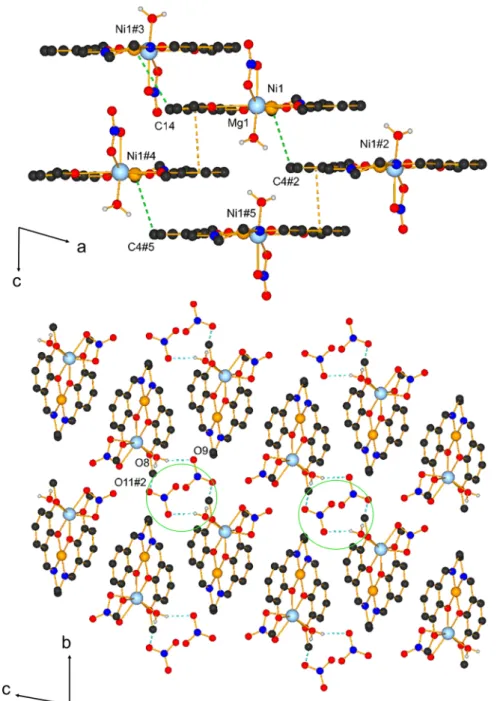 Figure 4. Antiparallel stacking of LNiMg complex 5 [top, #2(2 − x, 1 − y, 1 − z), #3(1 − x, 1 − y, −z), #4(−1 + x, y, z), #5(1 − x, 1 − y, 1 − z)]
