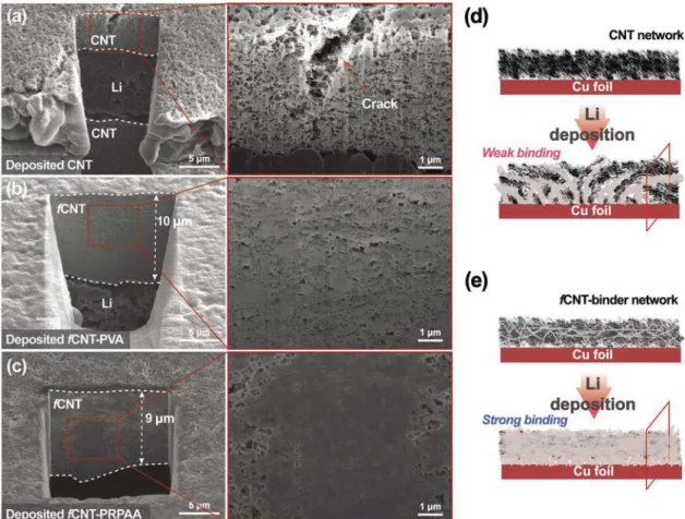 Figure 2a illustrates the case where the ruptured CNT layer was  loaded on the Li dendrite layer