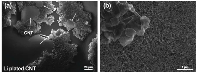 Figure S7. (a) SEM image of Li plated bare CNT network at 1 mA cm ௅2  (plating capacity = 1  mAh cm ௅2 ) and (b) its magnified view
