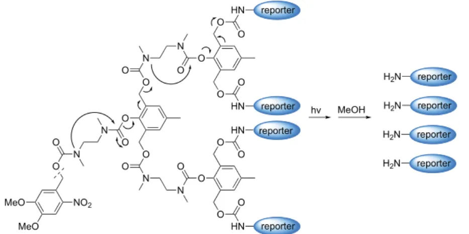 Figure 3. Activation of ﬁrst-generation dendrimer releases two molecules of p-nitrophenol.