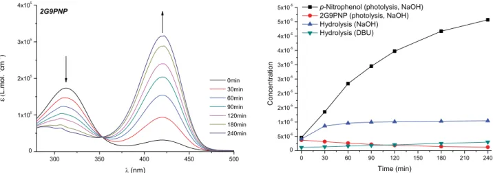 Figure 8. Activation and cascade release of the p-nitrophenoxide from 3G27PNP (1.6 × 10 −6 M), as a function of irradiation time at 360 nm in DBU 4 × 10 −3 M in DMF/H 2 O (9:1 v/v).