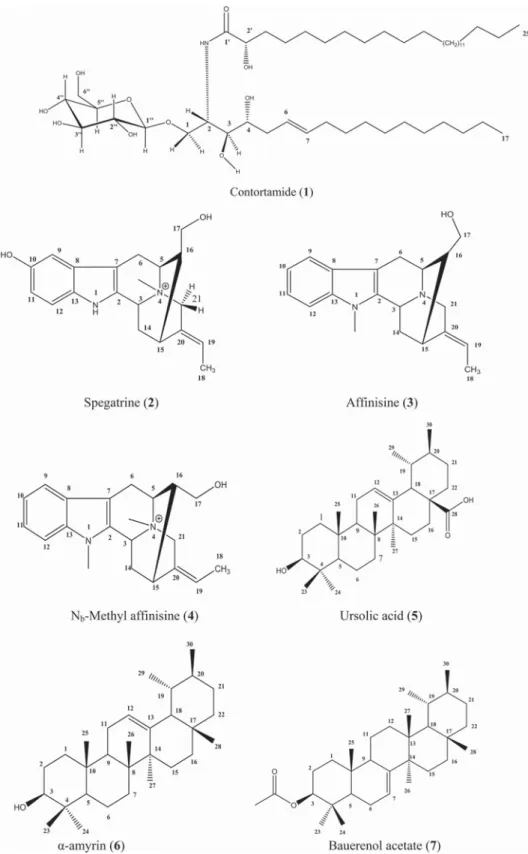 Figure 1. Chemical structures of the isolated compounds (1 – 10).