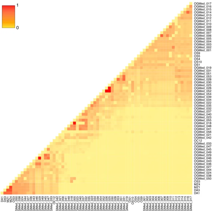 Fig. S1 Heatmap displaying the relatedness between the 66 Mediterranean olive tree  accessions