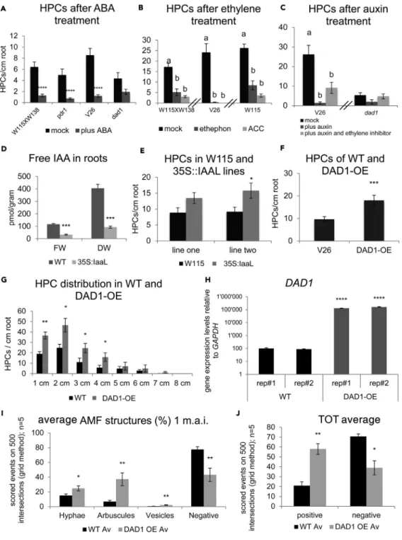 Figure 2. Exogenous Hormonal Treatments Affect HPCs Density (A) Effect of 1 m M ABA on HPC density.