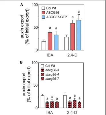 FIGURE 1 | Heterologous expression of ABCG36 results in enhanced plasma membrane export of the native and synthetic auxins, IBA and 2.4-D