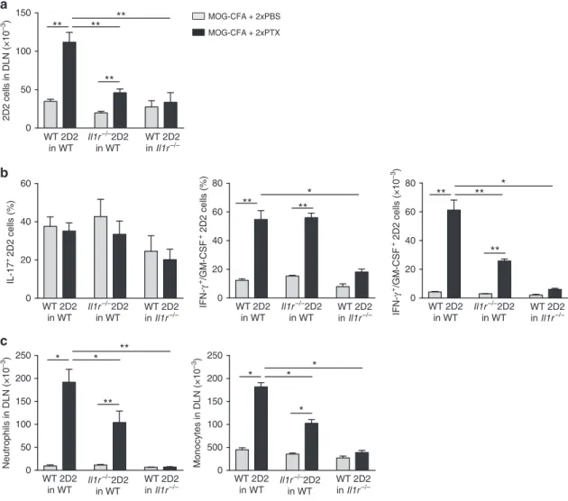 Figure 5 | PTX effects require IL-1R signalling on T cells and non-T cells. (a) Absolute number of WT 2D2 T cells and Il1r1  / 2D2 T cells measured by ﬂow cytometry in DLN of WT or Il1r1  / mice on day 5 after immunization with MOG-CFA and injection of PBS