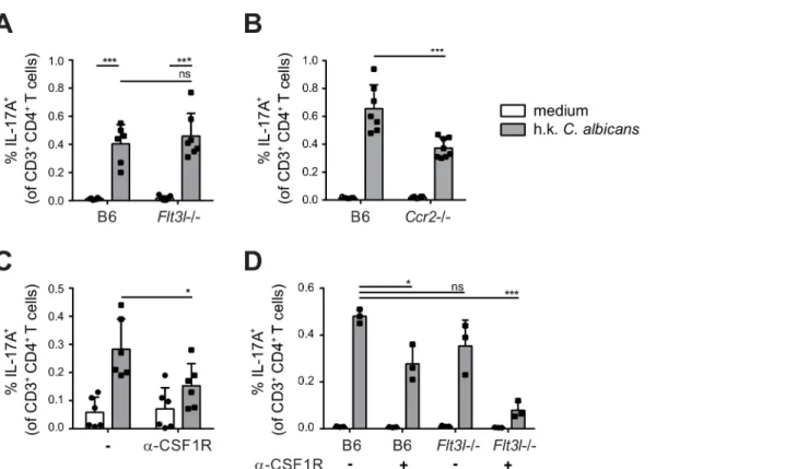 Fig 7. Flt3L-dependent migratory DCs and monocyte-derived DCs complement each other for Th17 priming during OPC