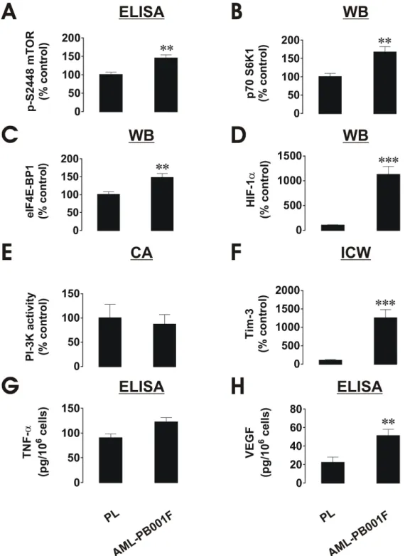 Figure 5: Comparative quantitative analysis of mTOR/HIF-1 pathway components as well as VEGF/TNF-α secretion  in primary human AML cells and healthy human PLs