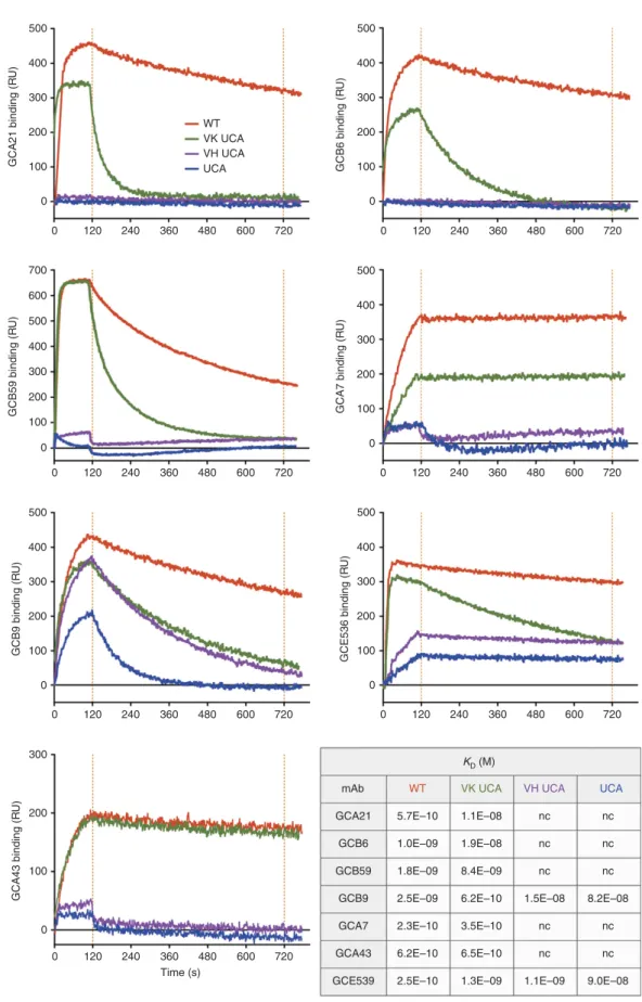 Figure 1 | Somatic mutations critically contribute to the speciﬁcity of GM-CSF autoantibodies