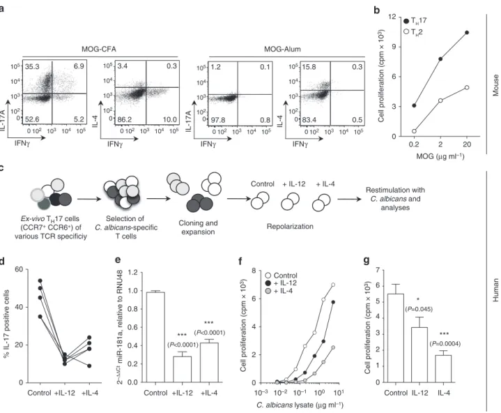 Figure 4 | Low threshold of TCR activation in T H 17 cells. (a) Transgenic mouse 2D2 naive T cells were adoptively transferred into C57Bl/6 wild-type recipients (10 5 cells per mouse) and polarized in vivo with MOG 35–55 and either complete Freund’s adjuva