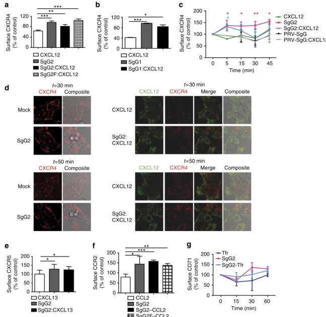 Figure 2 | HSV SgGs modify GPCR trafﬁcking and upregulate the level of chemokine receptors at the cell surface