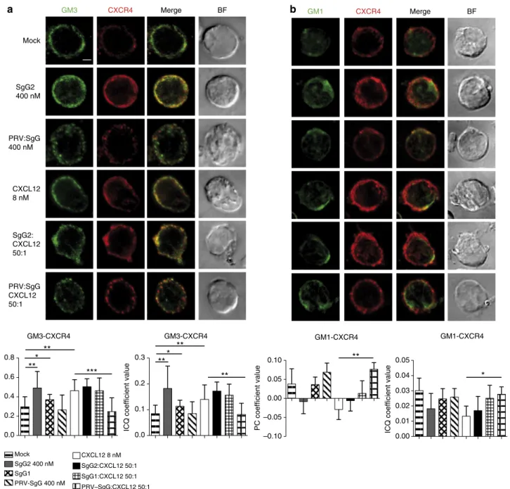 Figure 4 | HSV–SgG increases the localization of CXCR4 in GM3 rafts in primary human monocytes