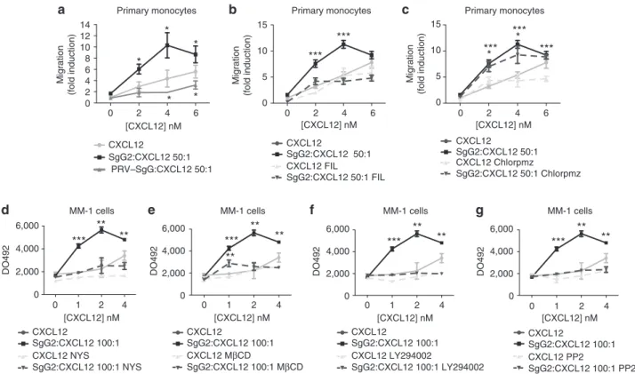 Figure 6 | HSV SgG2-mediated enhancement of chemokine function depends on lipid raft integrity but it does not require clathrin-coated pit formation
