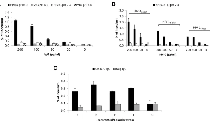 Table 1. Enhancement of HIV-1 transcytosis occurs with low viral inocula 1 .