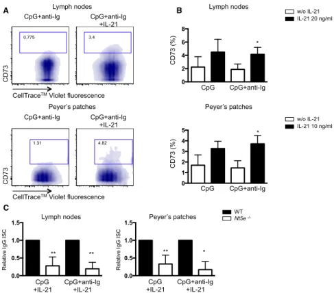 Figure S6. Analysis of Class Switch Recombination in CD73-Deficient Mouse B Lymphocytes, Related to Results and Discussion (A) Representative dot plots of CD73 expression and cell tracker dilution in naive B cells isolated from LNs and PPs after 5 days of 