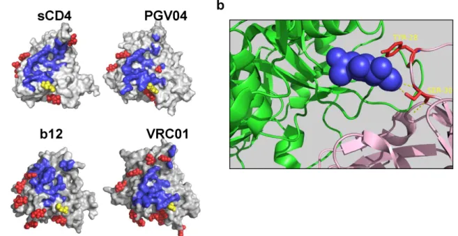 Figure 1. Positioning in yellow of N276-bound glycans (yellow spheres) in solved structures for sCD4, PGV04, b12 and VRC01
