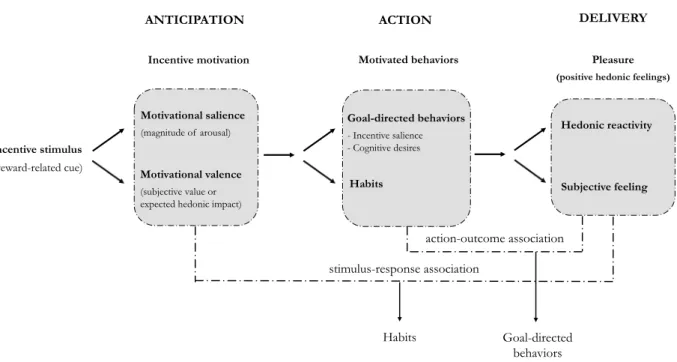 Figure 2.1.  Relationships  linking  the  learning,  motivational,  and  affective  components,  and  their  functions  in  reward  processing