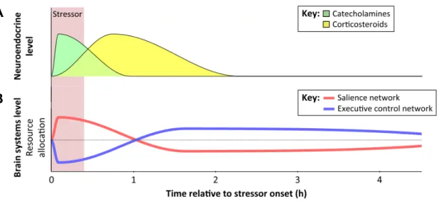 Figure 2.9. Biphasic-reciprocal model of reallocation of neural resources during the exposure to an acute  stressor