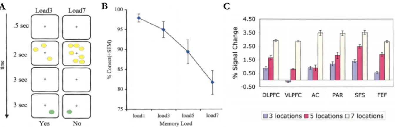 Figure 2.10.  Spatial  delayed  response  task  with  multiple  working  memory  (WM)  loads  (Glahn  et  al.,  2002)
