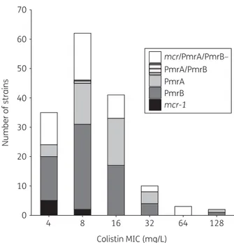 Figure 1. Colistin MIC distribution for the 153 colistin-resistant E. coli strains. MICs were determined using the broth microdilution method