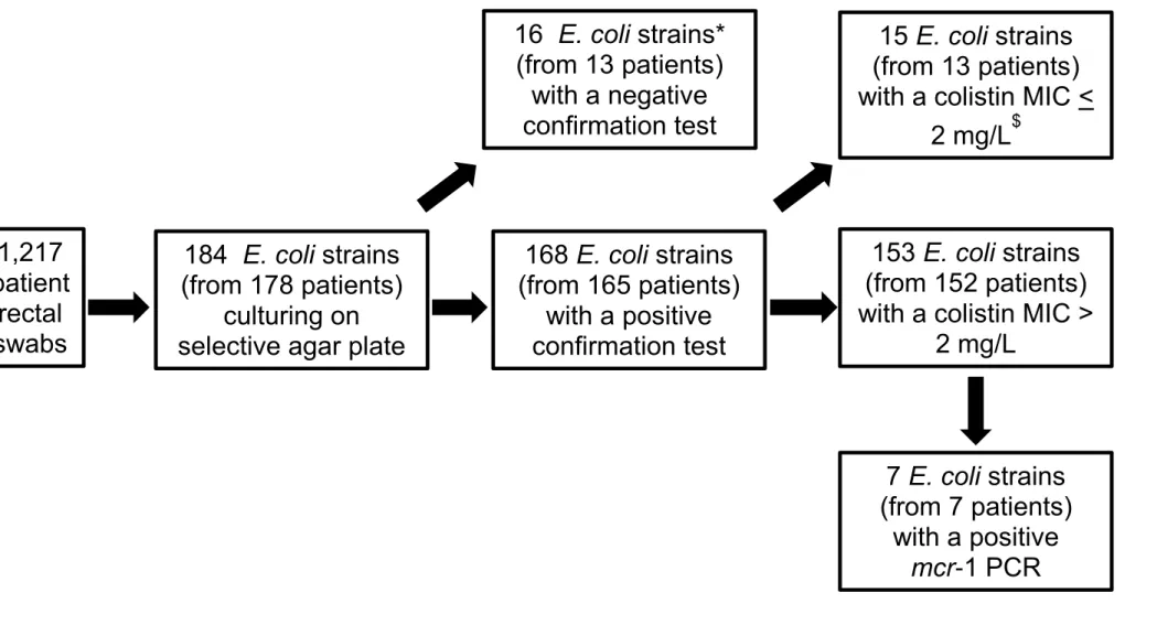 Figure S2. Flow chart of the ColiRED study showing the strategy used for the screening of colistin resistant E