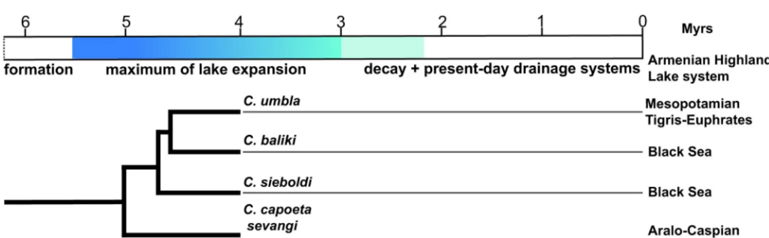 Fig 8. Hypothetical evolutionary stages of the palaeolake system of Armenian Highland since latest Miocene