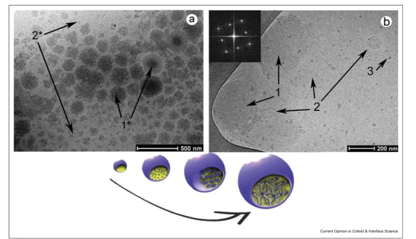 Figure 3 The digestion of milk visualised using cryogenic transmission electron microscopy (cryo-TEM).