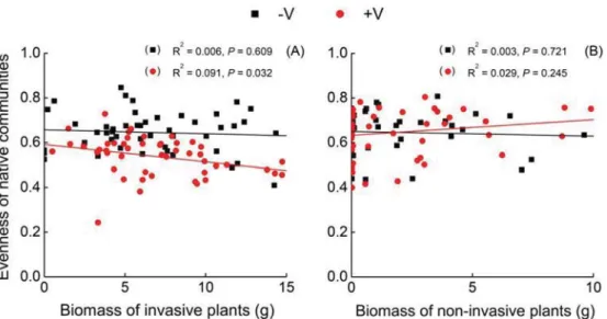 Fig. 5. Relationships of biomass of invasive (A) or non-invasive alien plants (B) with evenness of the native communities without or with variable nutrient (−V or +V) (n = 48 for invasive and non-invasive, respectively).