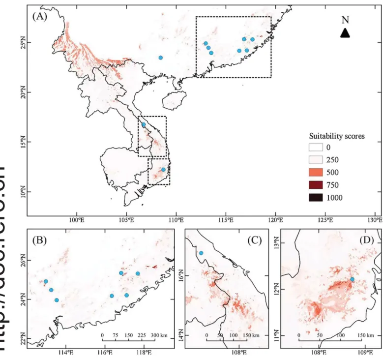 Fig. 2. Present and potential distribution of Quercus arbutifolia under the current climate