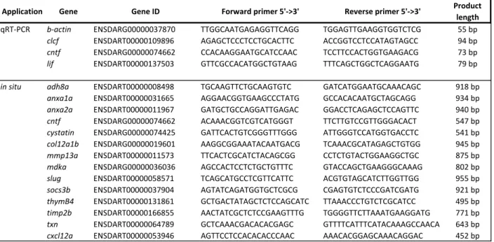 Table S1. Primers for in situ-hybridization and qRT-PCR analysis