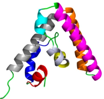 Figure 4. STAT4-NTD domain (PDB code 1BGF [54]), alpha-helixes are color coded 1-red, 2-blue, 3-yellow, 4-bluewhite, 5-cyan, 6-magenta, 7 orange, 8 gray.