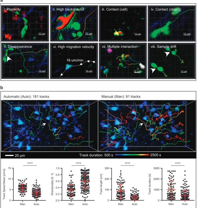 Figure 2. Tracking challenges. (a) Example case studies (i-viii) Representative snapshots of selected MP-IVM micrographs from problematic cases indicated in the upper part of the picture