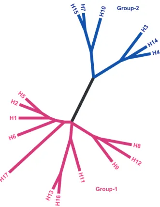 Figure 1. Phylogenetic relationship of influenza A haemagglutinin  subtypes. Evolutionary analysis involving 17 amino acid sequences  representing HAs from each subtype was conducted in MEGA5  ( Tamura et al, 2011 )