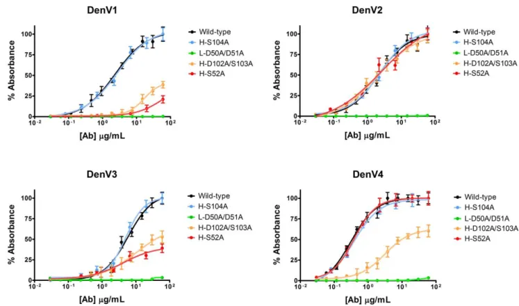 Figure 3. Rational antibody engineering to selectively alter the binding specificity. Binding assays (ELISA) of representative mutants for the four DenV serotypes are shown; higher y values correspond to increased antibody binding to DIII