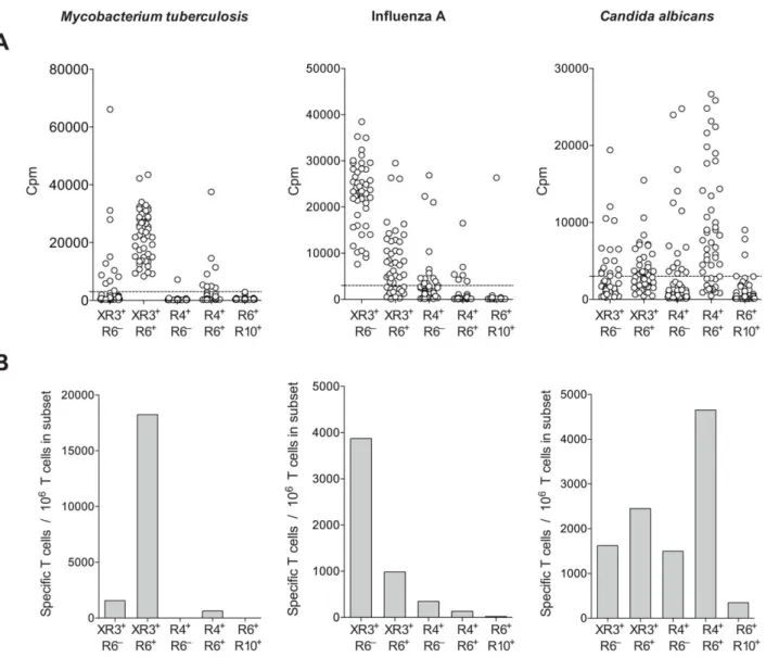 Figure 6. T cell responses to MTB are restricted to a CXCR3 + CCR6 + memory subset. Memory CD4 T cells were sorted into five subsets, 1) CXCR3 + CCR6 2 , 2) CXCR3 + CCR6 + , 3) CCR4 + CCR6 2 , 4) CCR4 + CCR6 + , and 5) CCR6 + CCR10 + 