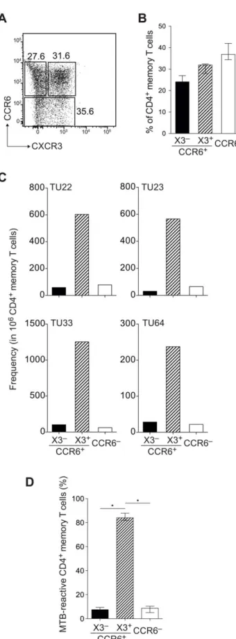 Figure 7. The T cell response to MTB is restricted to a CXCR3 + CCR6 + memory subset. (A, B) Three CD45RA 2 CD25 2 CD4 + memory T cell subsets from four LTBI donors were sorted; 1) CCR6 + CXCR3 2 ; 2) CCR6 + CXCR3 + ; and 3) CCR6 2 