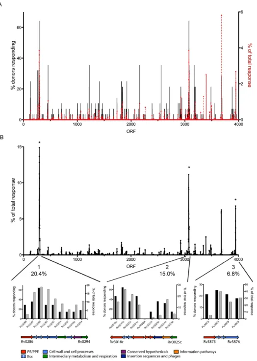 Figure 3. Antigens cluster in antigenic islands in the MTB genome. (A) All antigens recognized on the H37Rv genome map, % donors responding (black bars) and % of total response (red dotted line)
