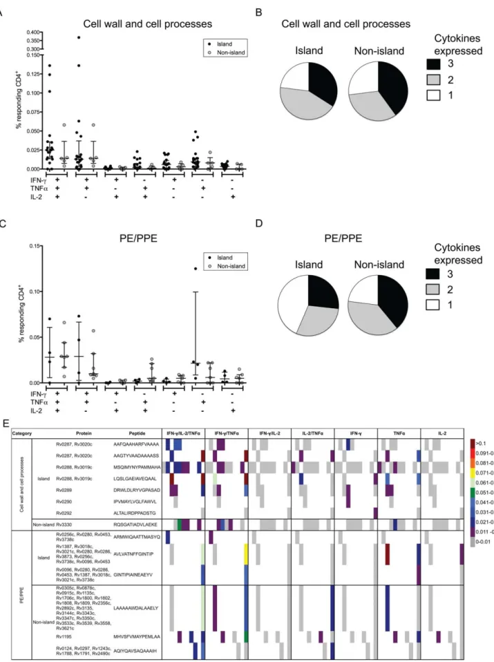 Figure 4. Cell wall/cell processes and PE/PPE specific CD4 T cells have a multifunctional phenotype