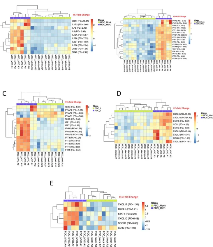 Figure 3. Significant genes associated with specific immune function in MVA-C-infected mDCs and pDCs