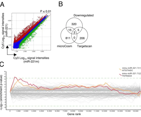 Figure 3. Identification of genes dysregulated upon miR-221 overexpression in BMMCs. A) Double-log scatter plot comparing the differential expression of mRNAs in BMMCs transduced with the miR-221 and miR-221m