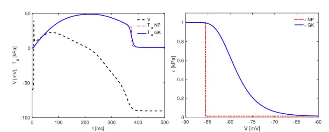 Figure 1.5. Left: Nash Panfilov (NP) and Göktepe and Kuhl (GK) active stress functions for ε 0 =1 ms −1 , ε ∞ = 0.01 ms −1 , V s = -80 mV , and ξ r = 0.3 mV −1 , solid lines, and action potential V , dashed line, as functions of the time