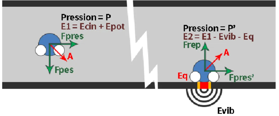 Figure 15 : Schéma de principe. 